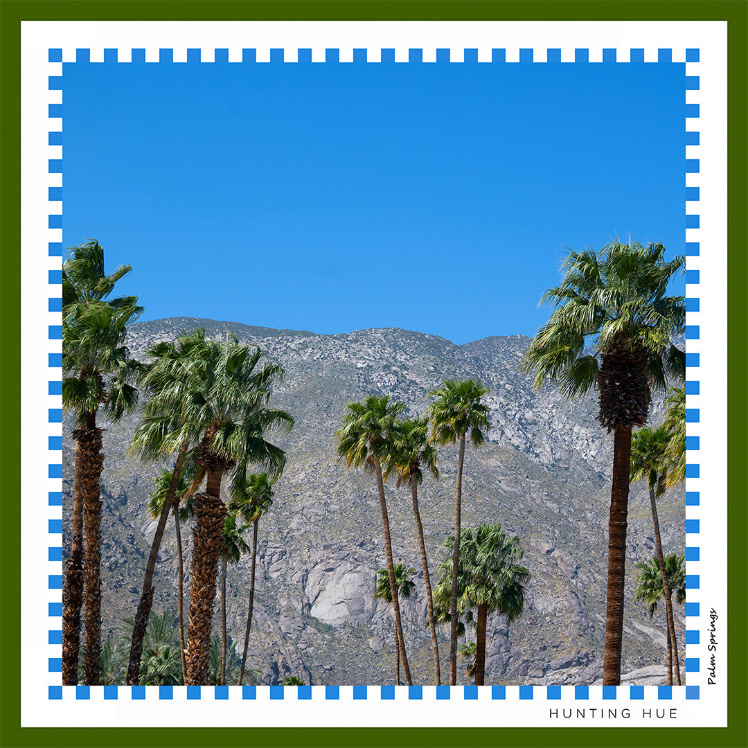 Odyssey Collection Palm Springs Scarf