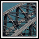 Icons of Sydney Harbour Bridge Scarf
