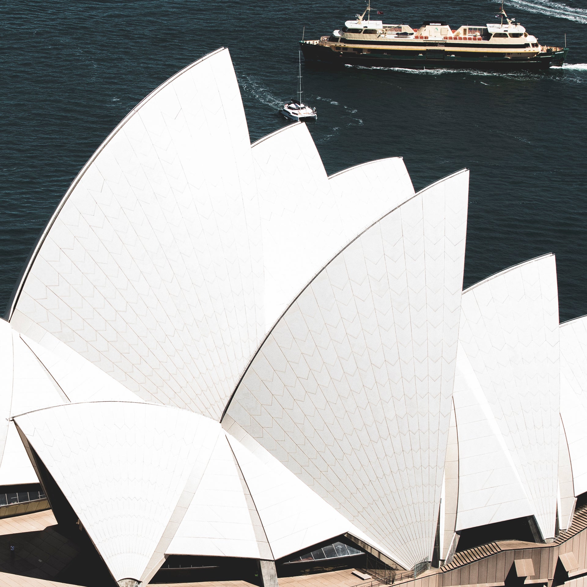 Sydney Ferry Scarf (Limited Edition)