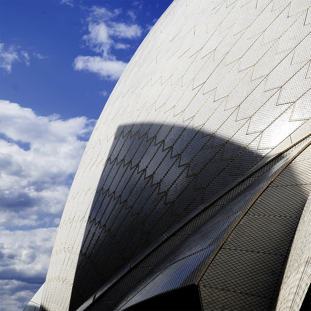 Limited Edition Sydney Shadow Play Scarf