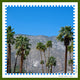 Hunting Hue - PALM SPRINGS - Scarf - Photography - Silk - California Postcard Collection