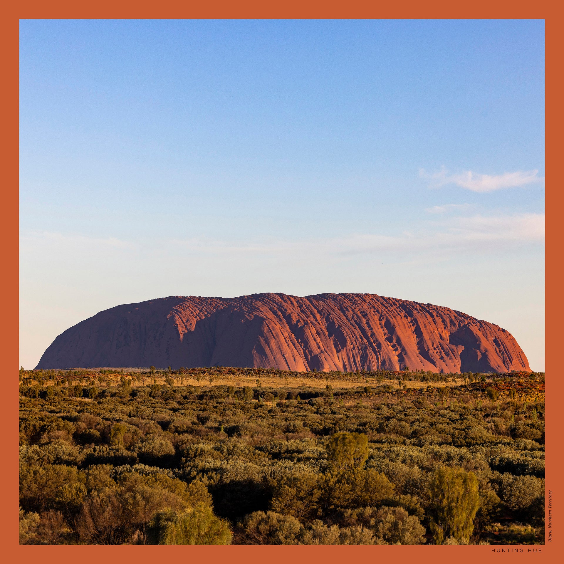 Uluru Silk Scarf