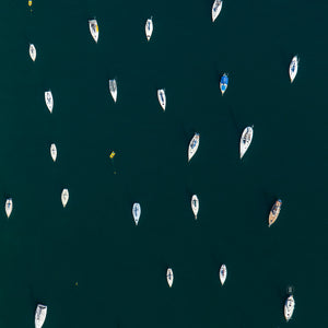 Hunting Hue - ATIRA WATTLE YELLOW - Scarf - Custom Photography - Silk - Aerial - Yacht -